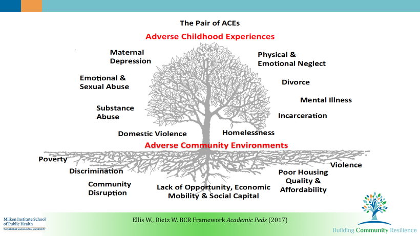 The Ecology of Mental Health- A System Out of Balance